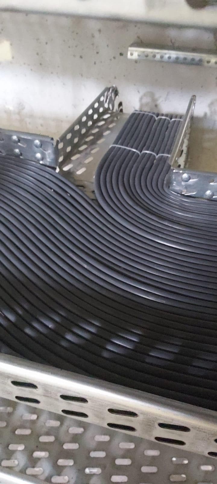 Cable tray and signal cabling